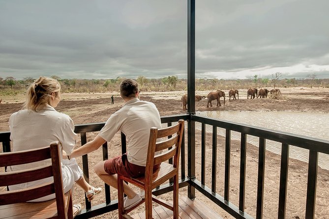 Moments with Elephants - How the tour actually flows in your hour