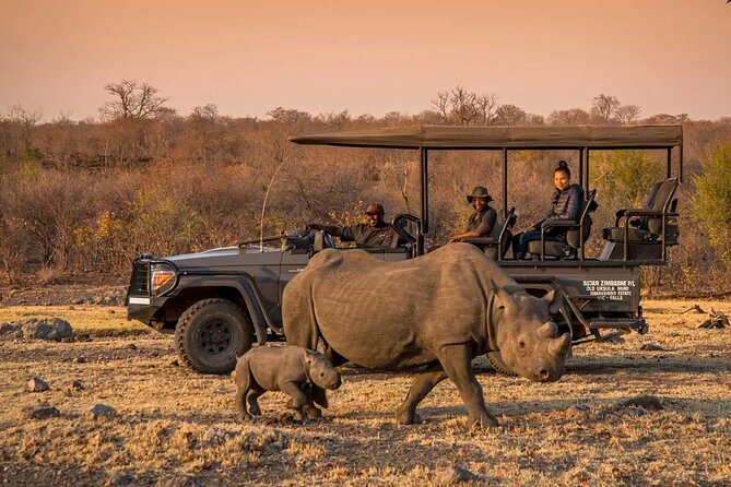 Morning or Afternoon Game Drive In Victoria Falls - Key things you should know before you go