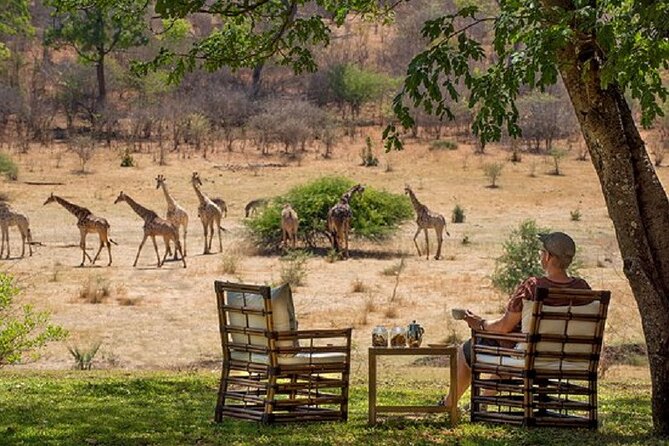 Morning or Afternoon Game Drive In Victoria Falls - Timing and pickup: what afternoon at 3pm really means