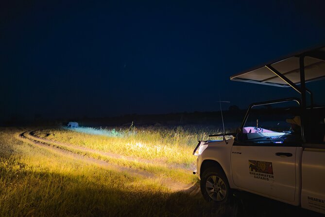 Night Game Drive in Zambezi National Park and Victoria Falls - When You’re Searching at Night, Your Choices Matter