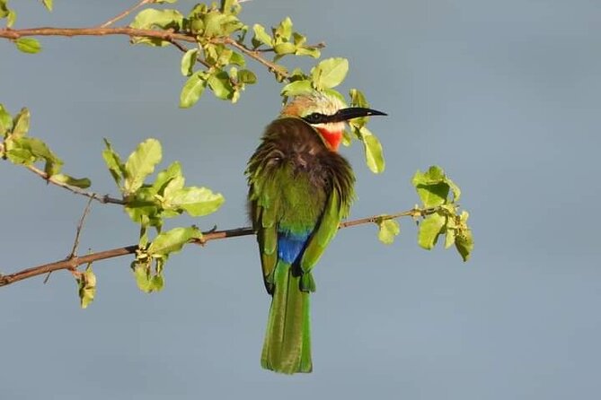 Private Guided Tour in Victoria Falls - Sunrise, Open day, or Luna moonlight: picking your best moment