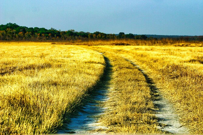 Safari Game Drive in the Savannah with Hotel pickup 3 times daily - Price, Value, and the Government Park Fee
