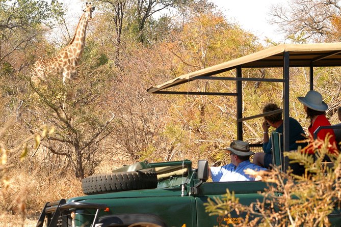 Safari Game Drive in Zambezi National Park with Hotel Pickup - What you actually get on board: food, drinks, and those Zambezi breaks