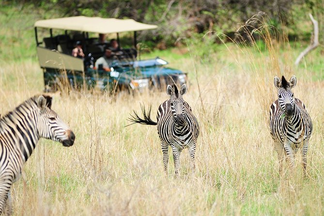 Safari Game Drive in Zambezi National Park with Hotel Pickup - Who should book this Zambezi game drive