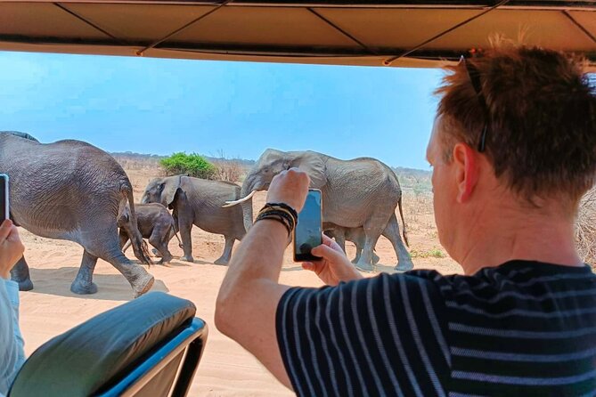 Safari in Victoria Falls and Zambezi National Park - The short break and high tea: a nice reset, not a throwaway stop