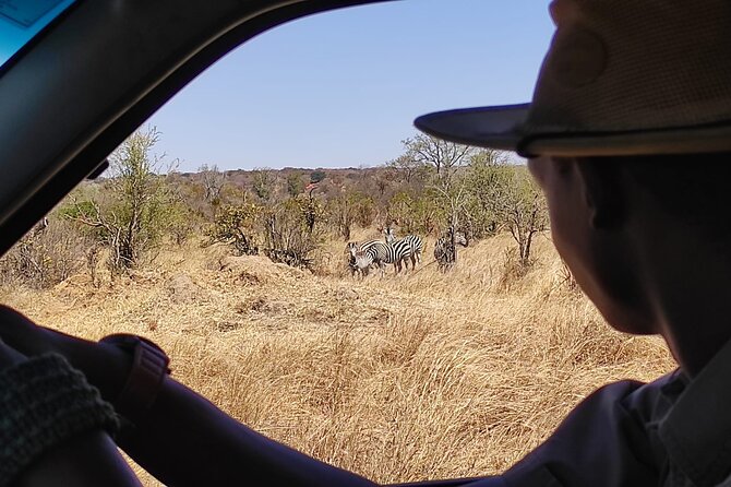 Safari in Victoria Falls and Zambezi National Park - Price and what value looks like in real dollars