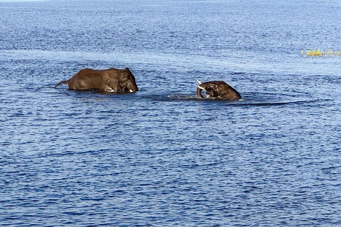 Shearwater River Song Luxury River Cruise - What guide Prince does that elevates the experience