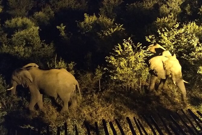 Stargazing and Moonlight Experience - Itinerary Moments You Will Feel During the Tour