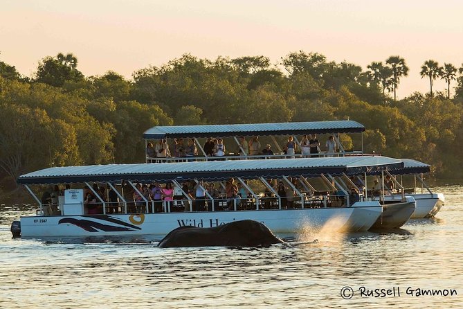 Sundowner Cruise on Zambezi River (Zimbabwe) - Key Points Worth Knowing Before You Go