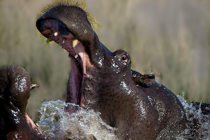 Sundowner Cruise on Zambezi River (Zimbabwe) - FAQ