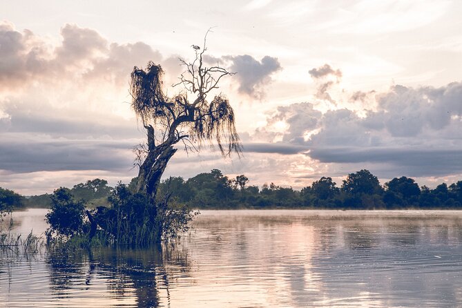 Sunrise Cruise on the Zambezi River - Transfers, timing, and mobile tickets in Victoria Falls