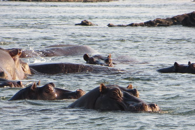 Sunset Cruise & Guided Falls Tour Combo - Timing, weather, and what to pack for rainy rainforest walking and river evenings