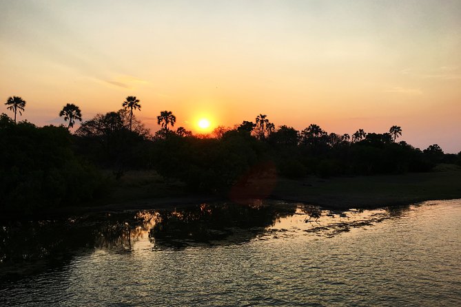 Sunset Cruise Wildlife Watching Experience at Zambezi River - 4:00 pm pickup and the 2-hour plan from Victoria Falls