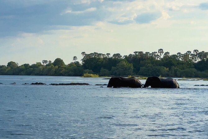 Sunset Cruises on the Zambezi River from Victoria Falls - The Cruise Itself: Drinks, Snacks, Safety Brief, and River Wildlife