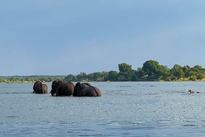 Sunset Cruises on the Zambezi River from Victoria Falls - Price and Value: What You Pay, What You Get, and What Costs Extra