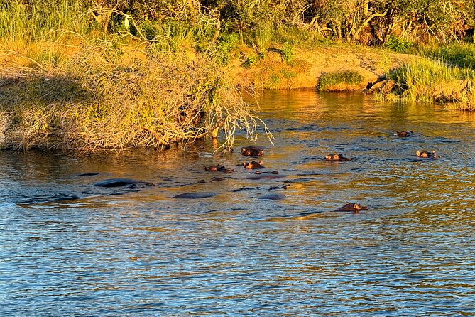 Sunset Cruises on the Zambezi River from Victoria Falls - Choosing Your Seat: Upper vs Lower Deck, Port vs Starboard