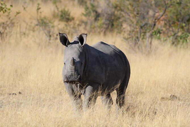 The Best of Matobo - The Matobo day that stays small, even when it gets big