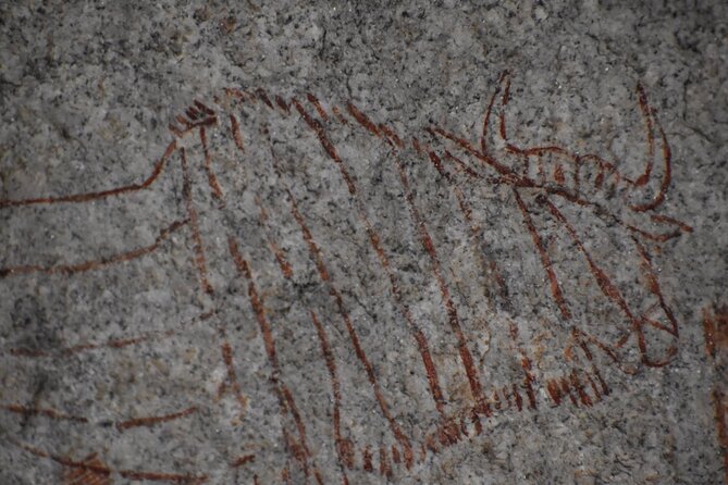 The Best of Matobo - What you actually get for $140, and when it’s a smart value