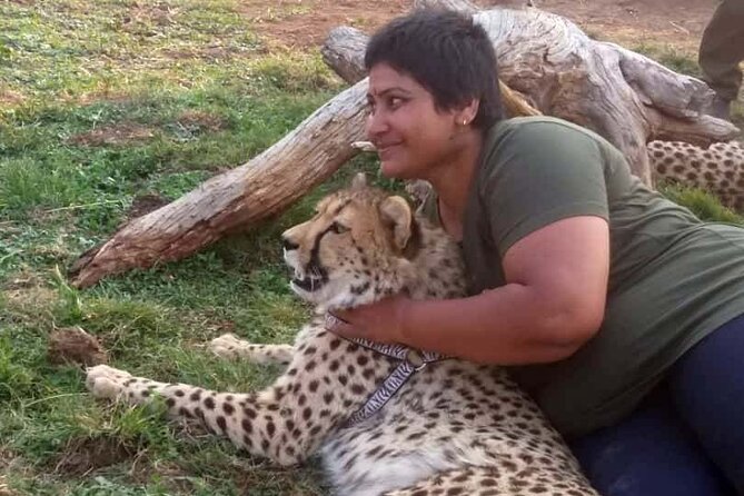 The Cheetah Experience - What The Cheetah Experience Is Like, In Real Life