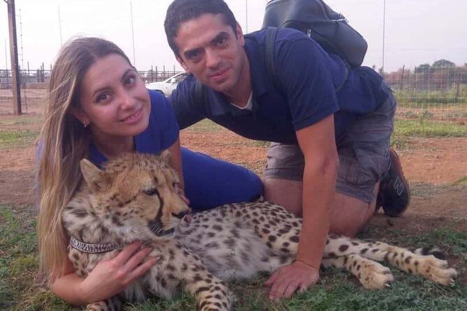 The Cheetah Experience - Walking Side by Side With Cheetahs: The Moment You’ll Remember