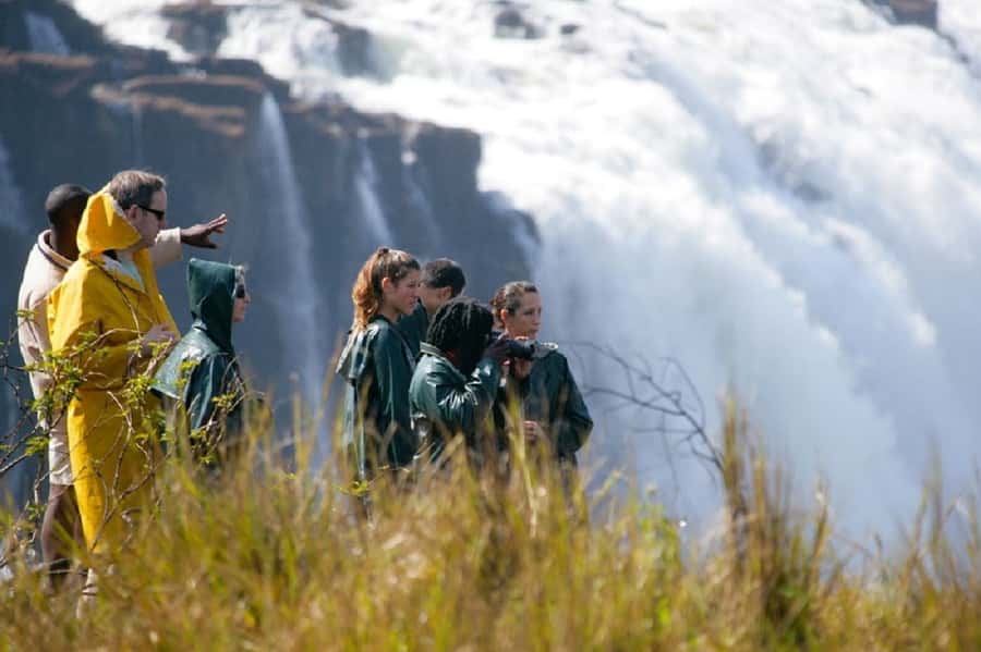 Ultimate Falls Experience - Tour, Abseil, Swim & Hike - Hidden behind trees: the abseil launch platform and your safety briefing