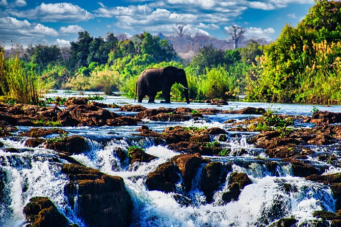 Unique Safari Game Drives in Zambezi National Park, 4 Options - Key safari takeaways before you book