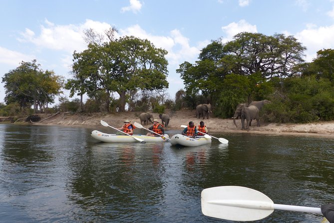 Upper Zambezi Canoeing - Key things that make this canoe trip worth your time