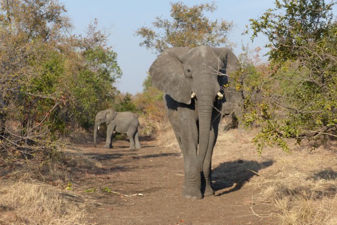 Upper Zambezi Canoeing - Transfers and meeting point: start at Victoria Falls Hotel, end back in town