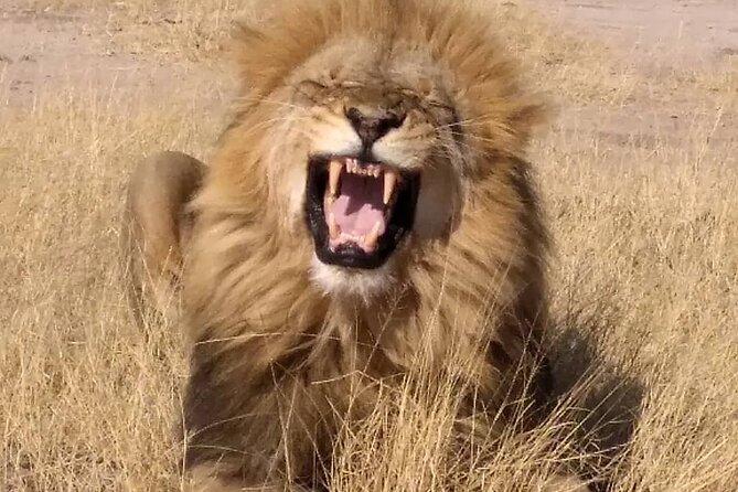 Victoria Falls And Chobe - Should you book Victoria Falls and Chobe?