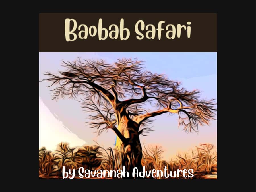 Victoria Falls: Baobab Safari - Sunrise and Mid Morning - A 2-hour Victoria Falls safari that blends town, bush, and the Zambezi