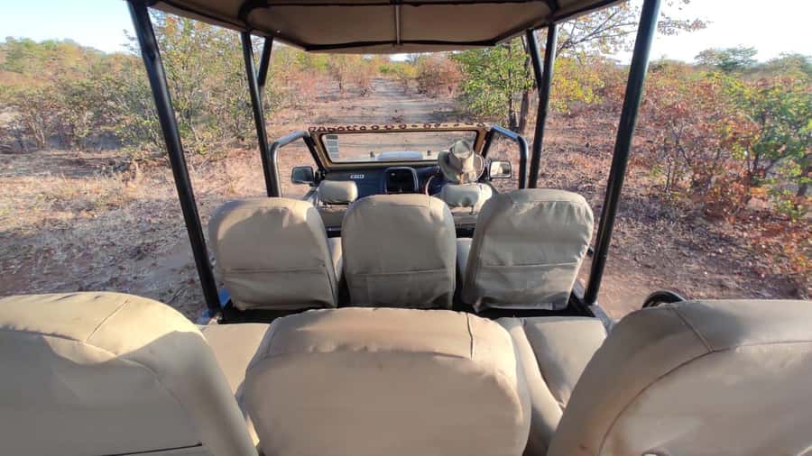 Victoria Falls: Baobab Safari - Sunrise and Mid Morning - Baobab tree stop: photos, shade, and local crafts