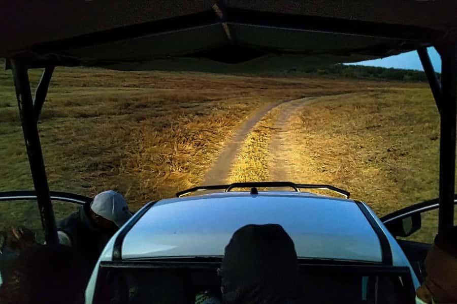 Victoria Falls: Bush Experience and Stargazing D-F-ES-GB - Key Things That Make This Night Safari Worth Your Time