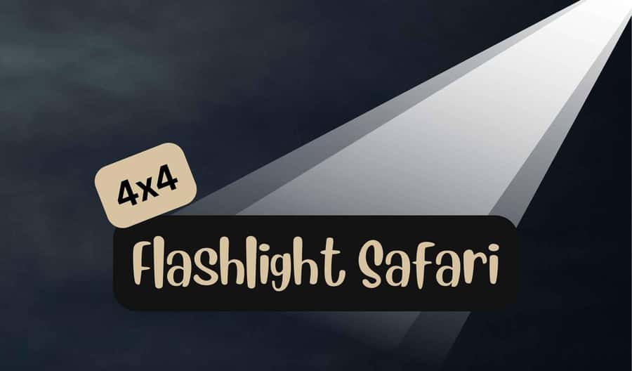 Victoria Falls: Bush Experience and Stargazing D-F-ES-GB - Should You Book Savannah Adventures Safaris for Victoria Falls Bush Experience and Stargazing?