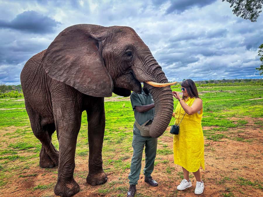 Victoria Falls: Elecrew Through The Eyes Of An Elephant - Entering EleCREW at Victoria Falls: ethical meets educational