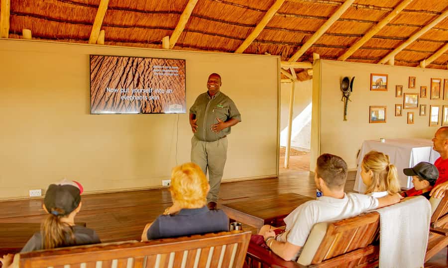 Victoria Falls: Elecrew Through The Eyes Of An Elephant - Through the Eyes of an Elephant: what you actually learn