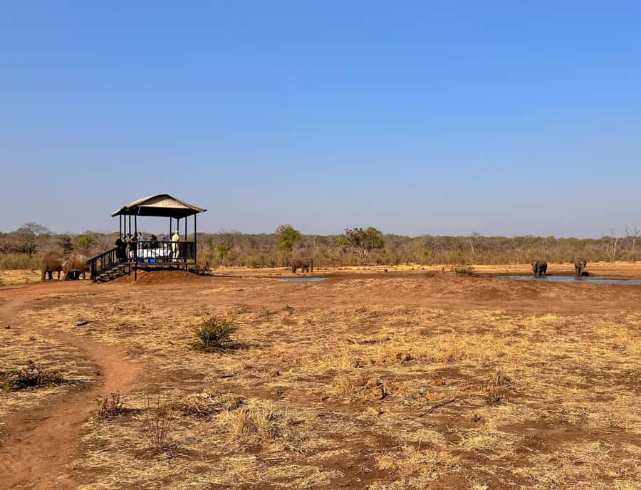 Victoria Falls: Elecrew Through The Eyes Of An Elephant - Should you book the EleCREW Through the Eyes of an Elephant experience?