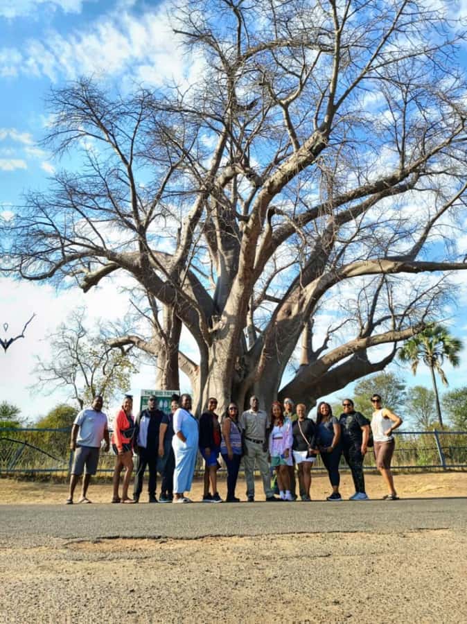Victoria Falls Full Day Experience - Stop 1: Victoria Falls National Park walk and the “mist math”