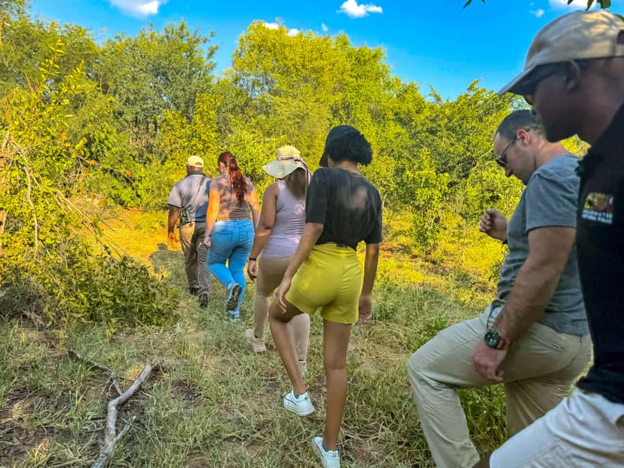 Victoria Falls: Game Walk in the Zambezi National Park - The walking safari in Zambezi National Park: what the pace really means