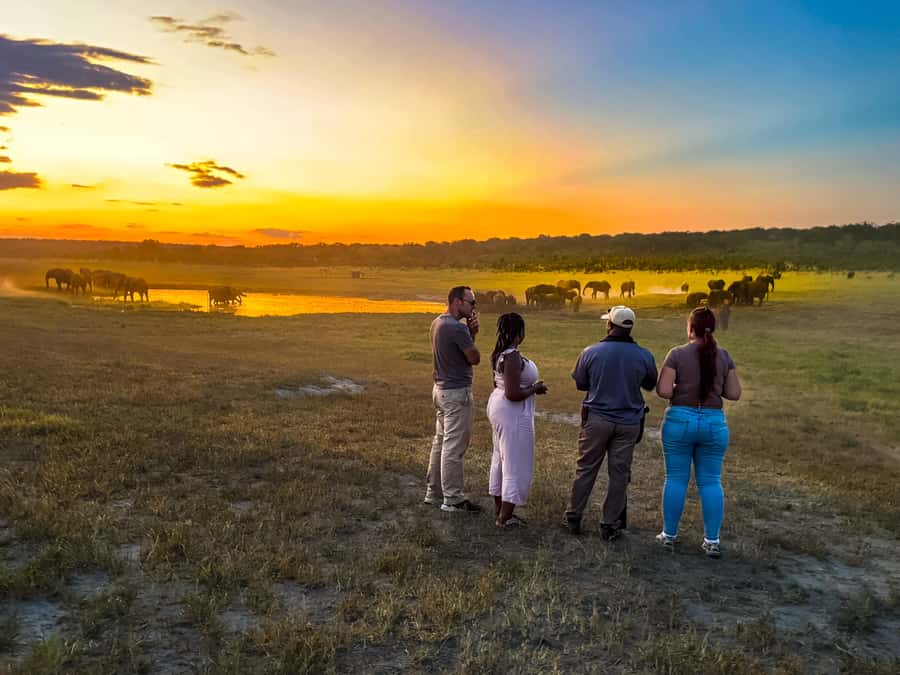 Victoria Falls: Game Walk in the Zambezi National Park - Wildlife encounters you should actually expect