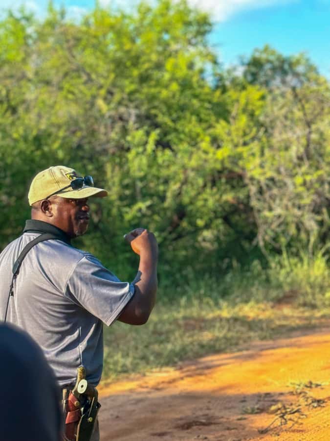 Victoria Falls: Game Walk in the Zambezi National Park - Learning the park’s balance: why rangers matter so much
