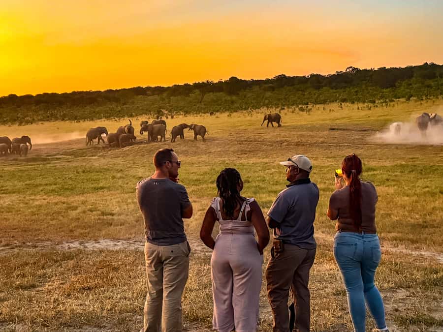 Victoria Falls: Game Walk in the Zambezi National Park - What to wear in Zimbabwe heat, and what not to do