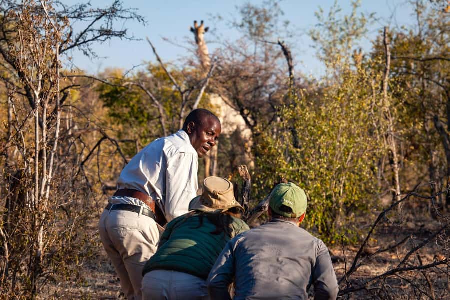 Victoria Falls: Game Walk in the Zambezi National Park - The Victoria Falls pickup and the short ride into the park