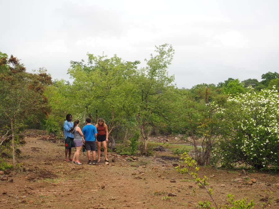 Victoria Falls Gorge Hike & Farm to Table Village Lunch - Who this tour suits best, and who should look elsewhere