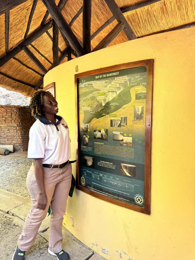 Victoria Falls: Guided Tour of the Victoria Falls - Wildlife and Local Flora: What You Can Spot When Someone Points