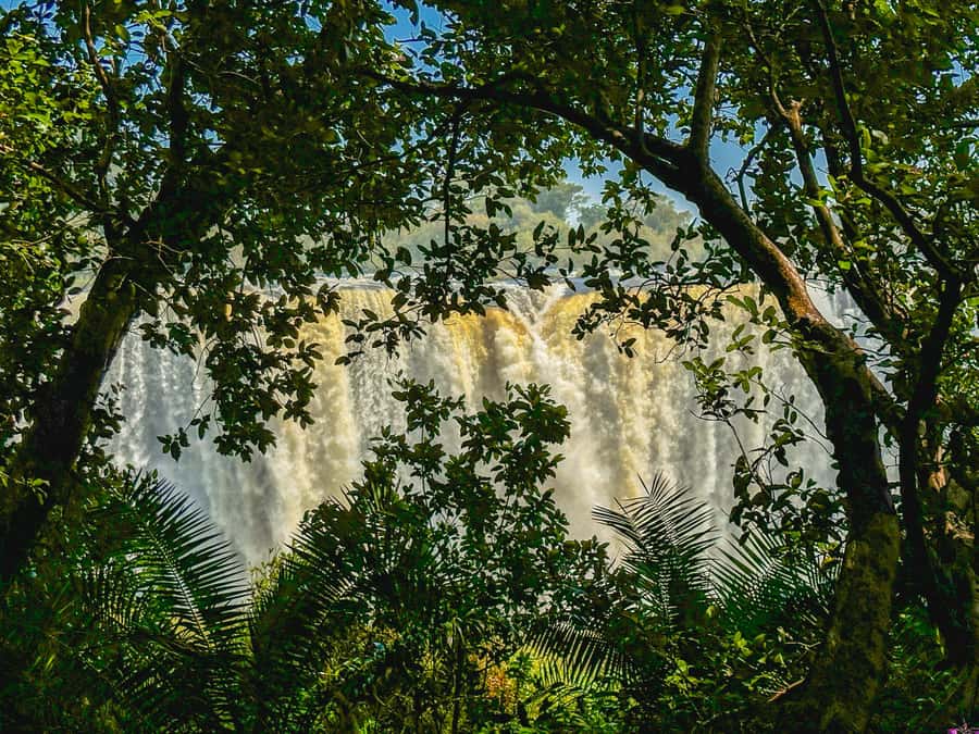 Victoria Falls: Guided Tour of the Victoria Falls - Getting From Your Hotel to the Falls Without the Hassle