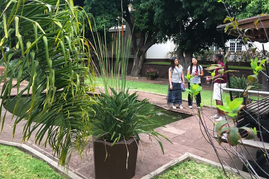 Victoria Falls Guided Tour with High Tea - Key Things to Know Before You Go