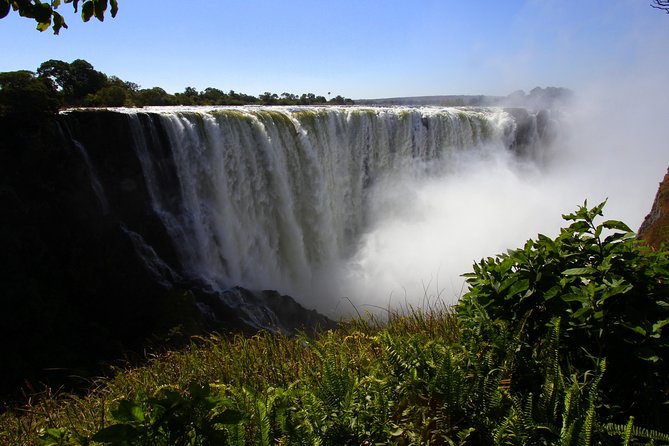 Victoria Falls Guided Tour - Rainforest mist, rainbows, and wildlife moments