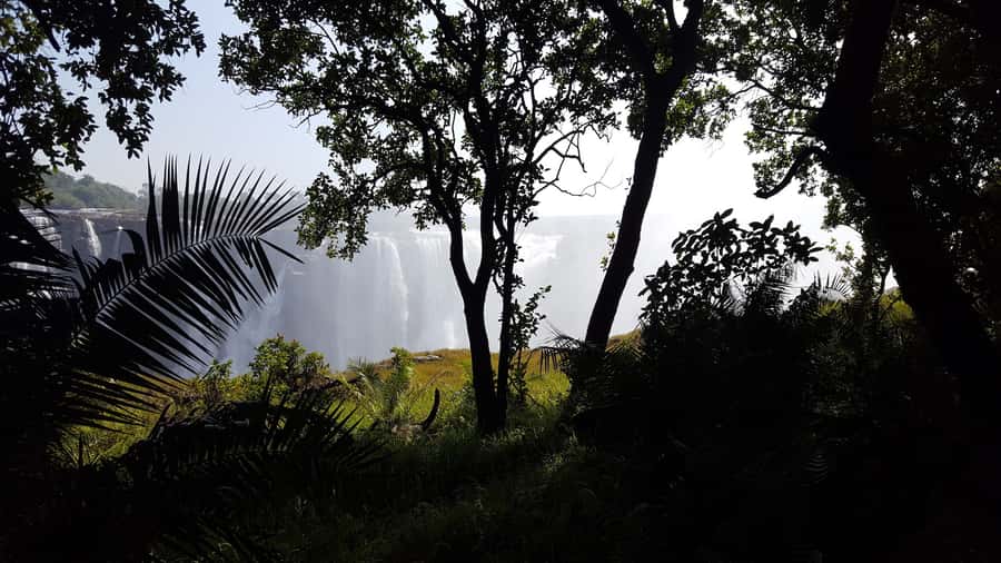 Victoria Falls: Guided Walking Tour - Key highlights you will care about