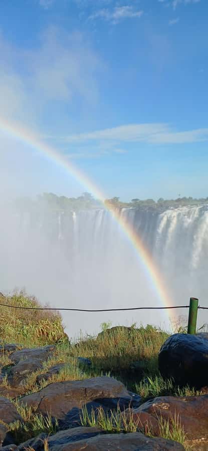 Victoria Falls: Guided Walking Tour - A professional guide like Sisa makes the difference