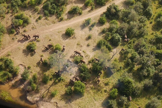 Victoria Falls Helicopter Tour - Where it all starts at Kazungula Airstrip